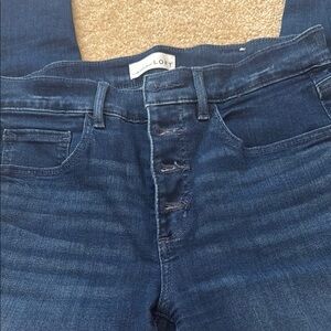 LOFT Indigo Button-Fly Denim
